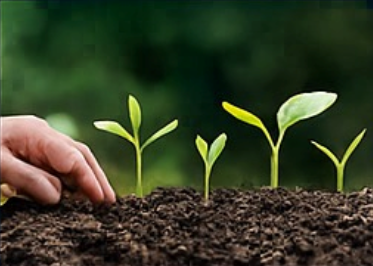 Circular Bioeconomy & Regenerative Agriculture