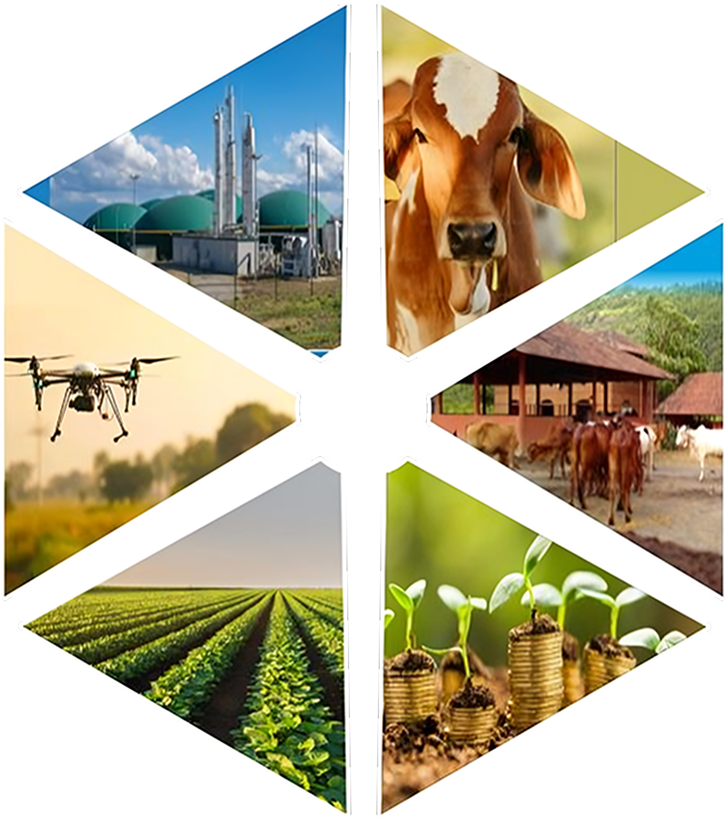 Project One Future Logo