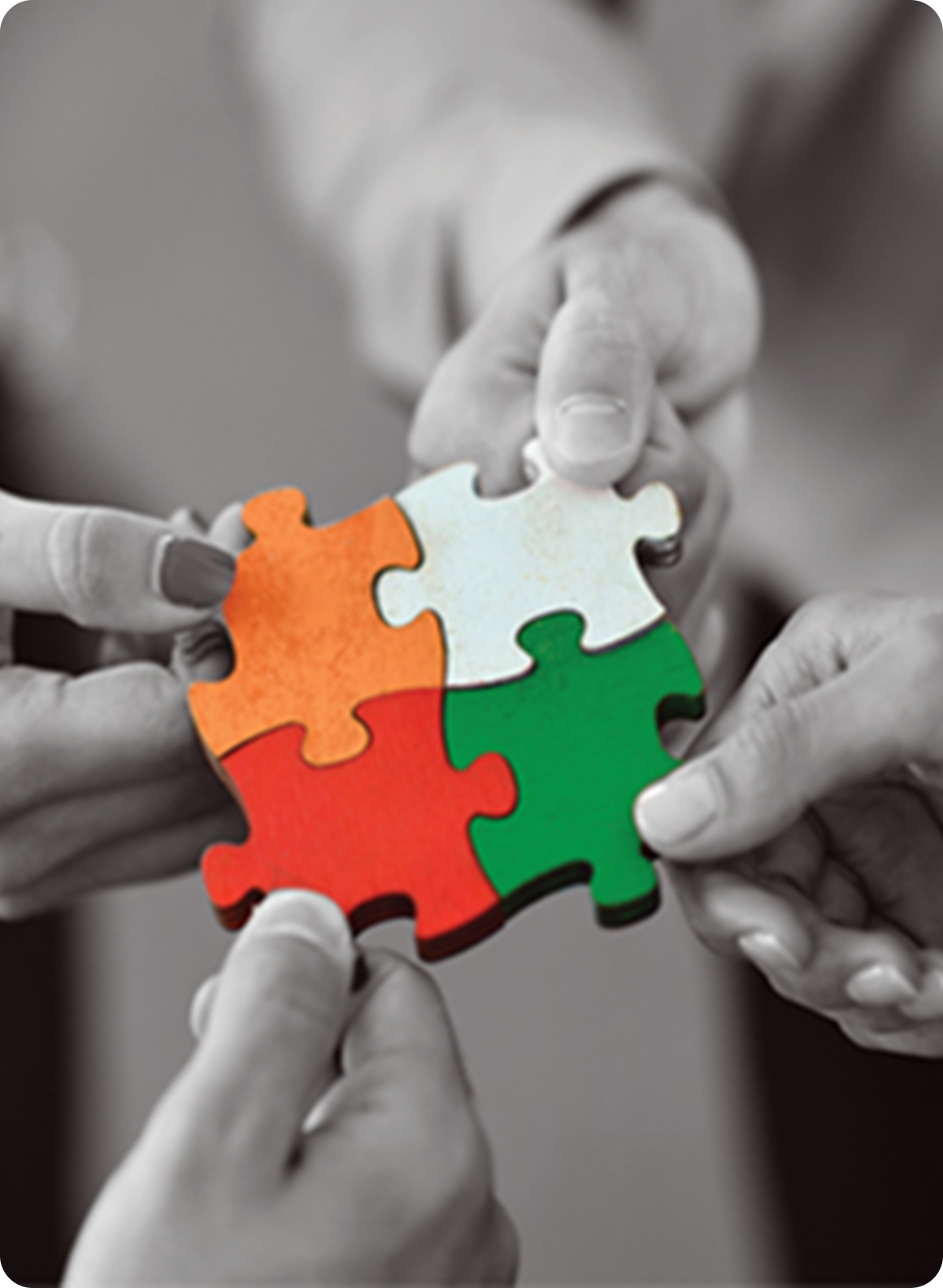 Partnership Dialogue