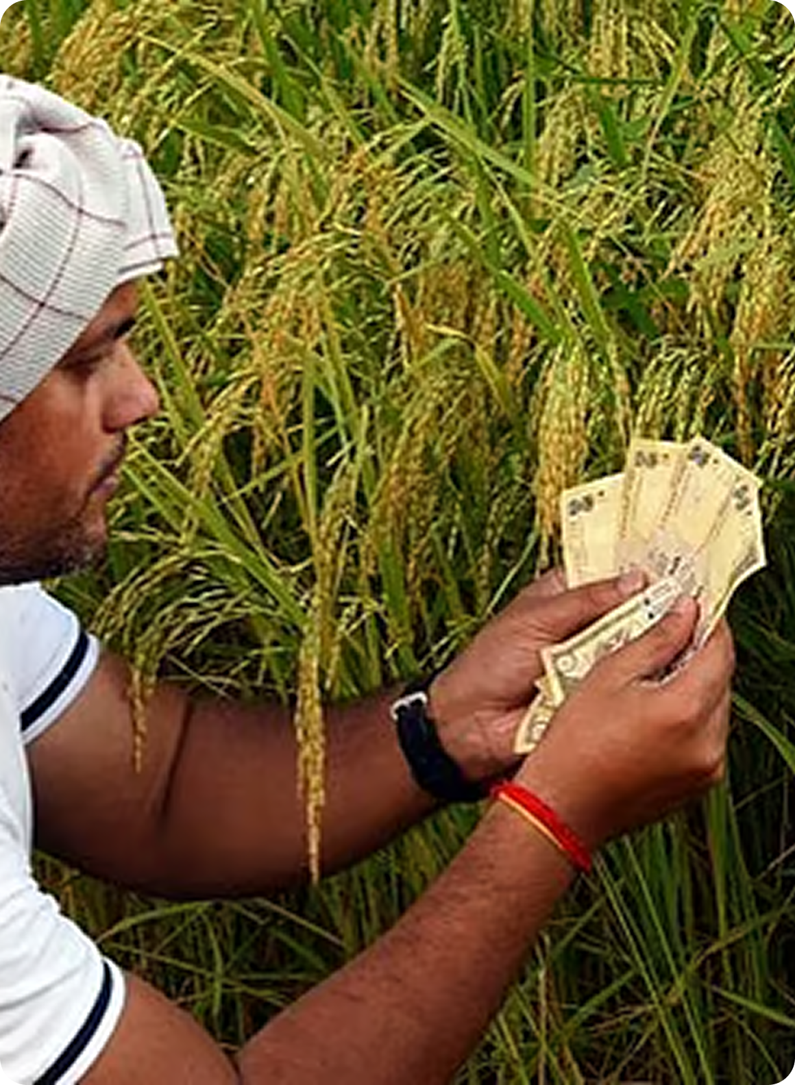 Sustainable Business Models