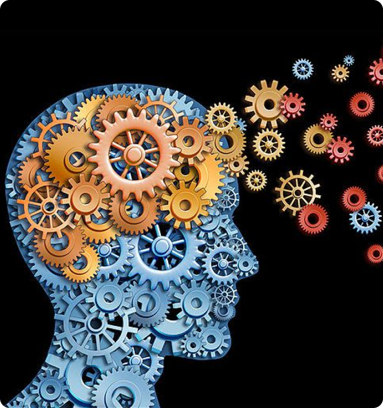 Policy Advocacy and knowledge creation